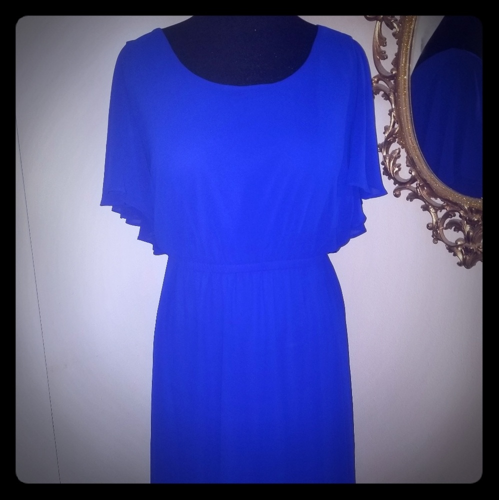 Royal Blue cocktail dress.  Torrid 2018.